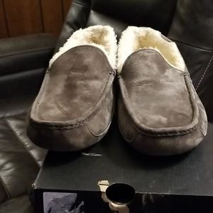 COPY - Mens Uggs Ascot size 11